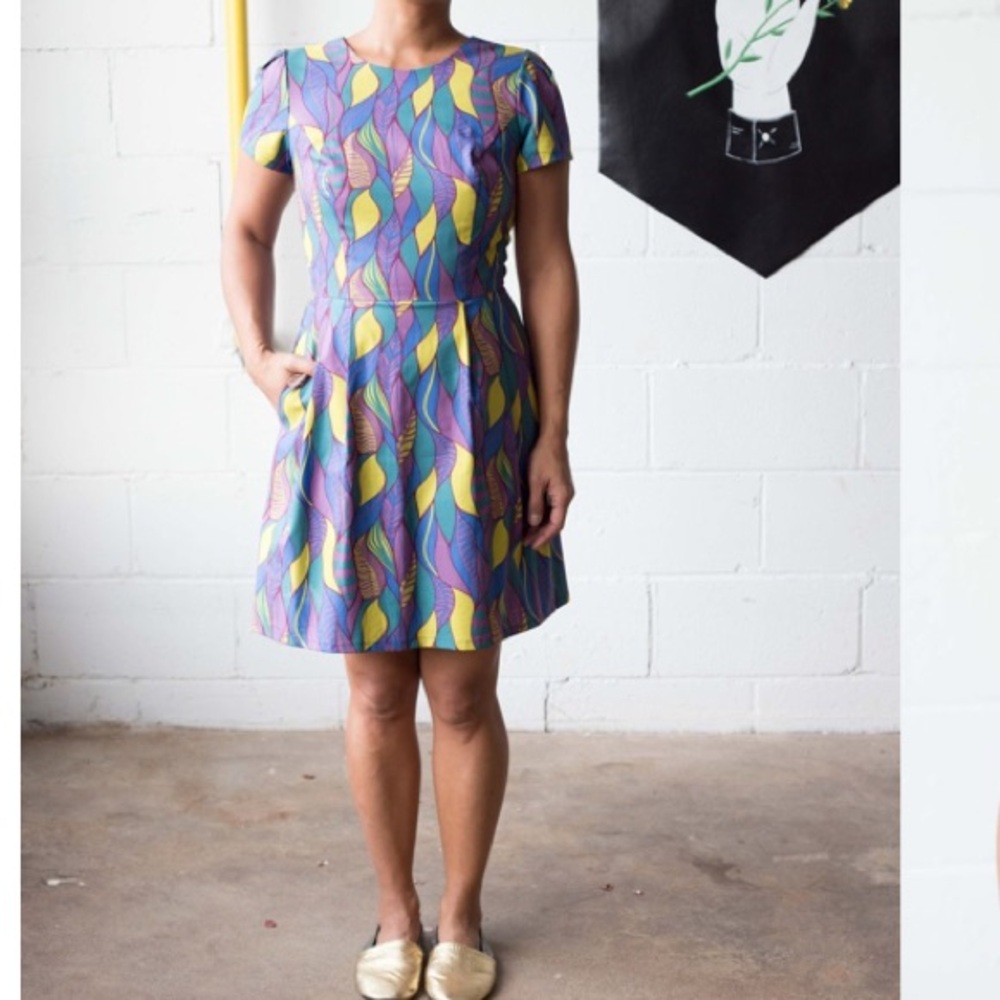 Birds of North America Bobolink Dress